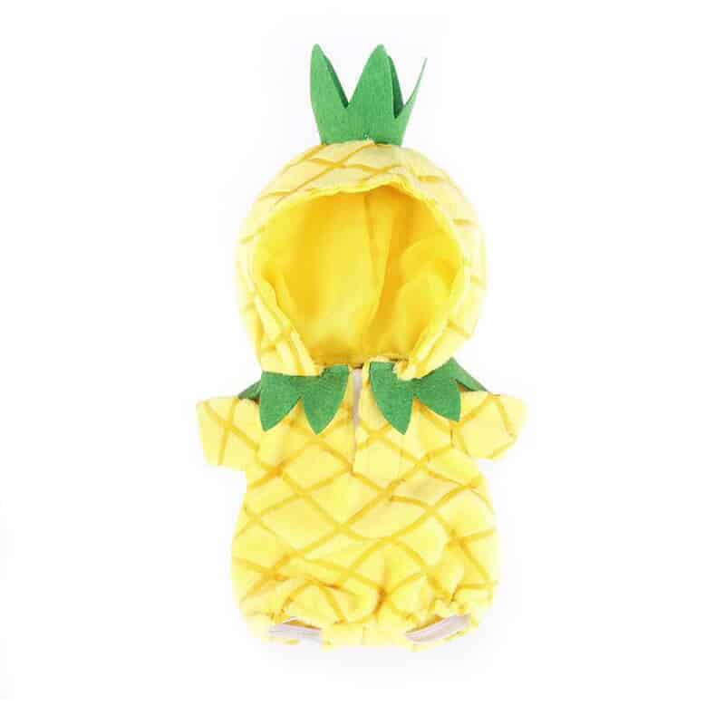 nuimos-pineapple-costume-02